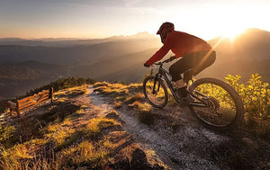 MossCode Huy Động Vốn Vòng Thiên Thần Triệu Đô, Định Giá Công Ty 100 Triệu Đô