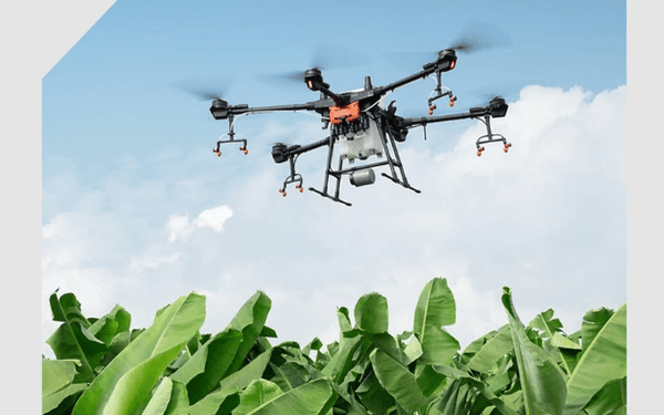 Công ty Trí Tuệ Nhúng Nông Nghiệp GrainCore Dynamics Hút Vốn, Định Giá Đạt 70 Triệu USD